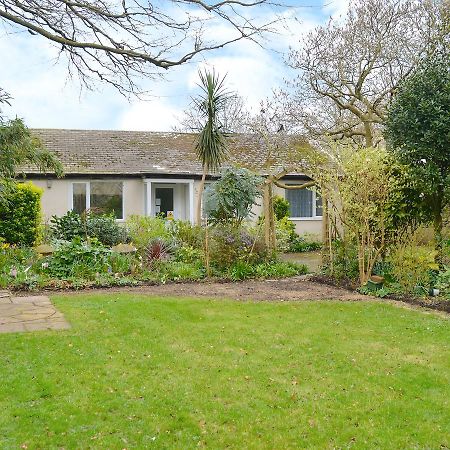Beech Cottage Ilfracombe Exterior photo